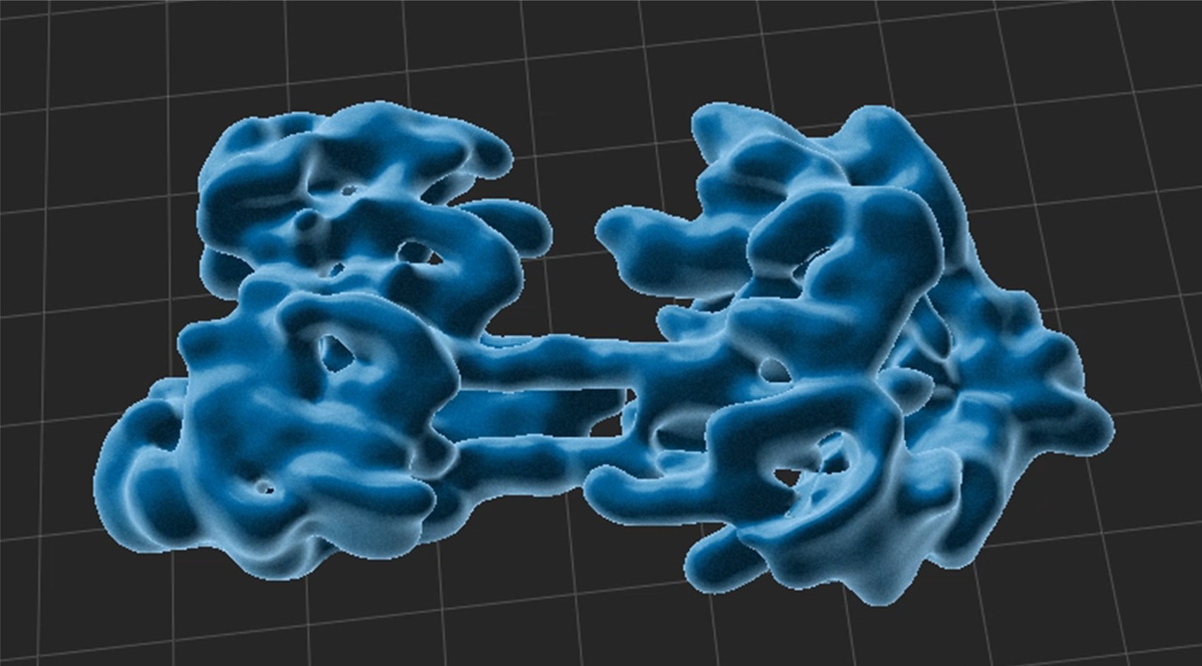 nucleus_model.jpg